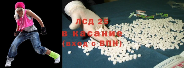 стафф Бородино