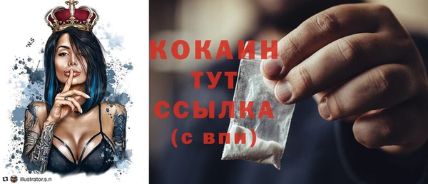 стафф Бородино