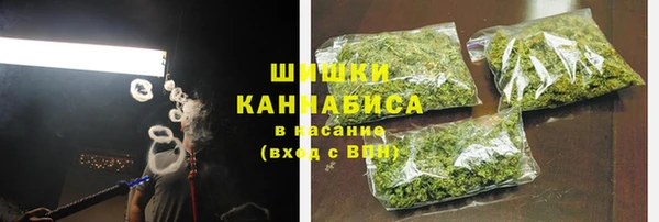 стафф Бородино