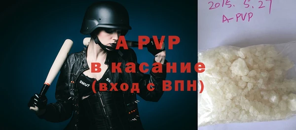 стафф Бородино