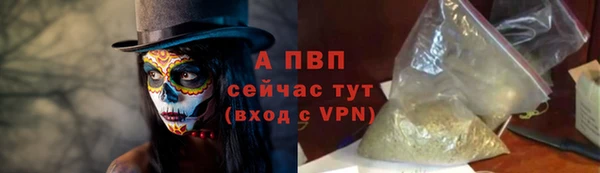 стафф Бородино