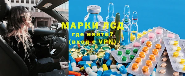 стафф Бородино